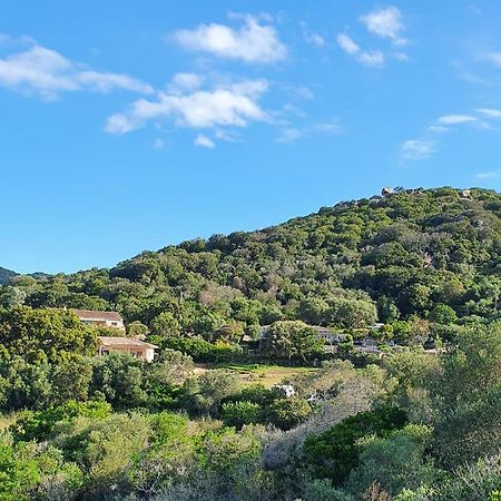 Bel Appartement Dans Hameau Calme Bonifacio  Zewnętrze zdjęcie