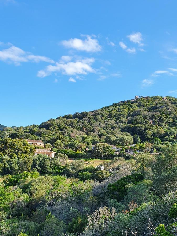 Bel Appartement Dans Hameau Calme Bonifacio  Zewnętrze zdjęcie